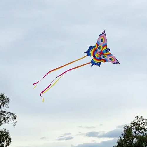 Butterfly kite flying