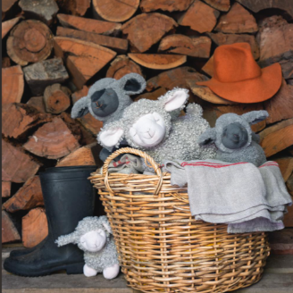 Charlotte the sheep in a basket