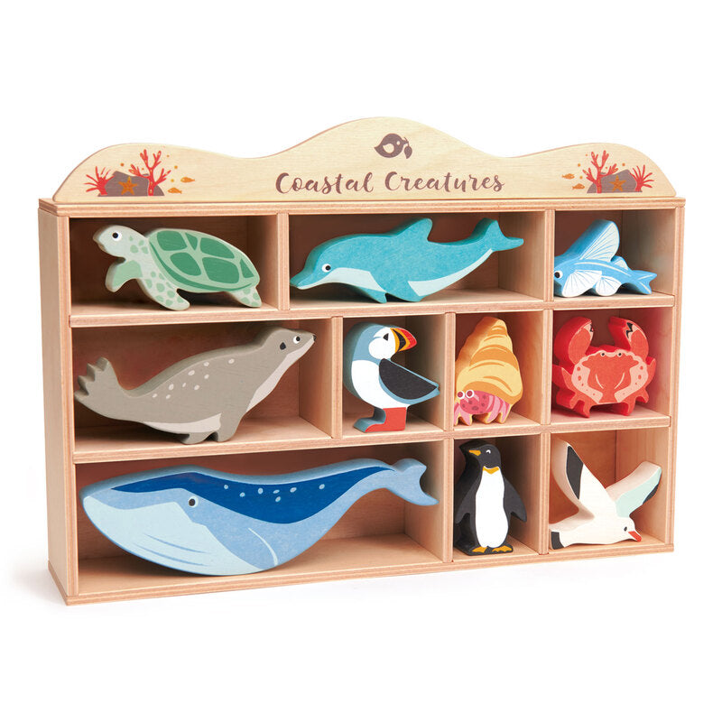Coastal animals shelf set
