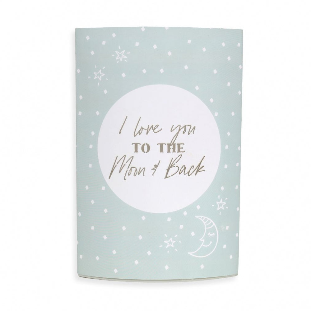 Baby to the moon and back lantern