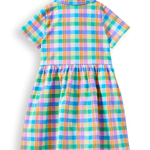 back of the carnival check dress