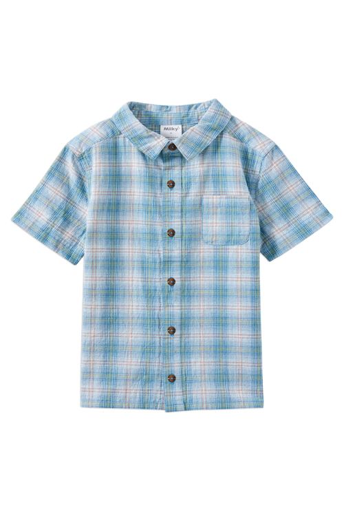 front of dusty check shirt