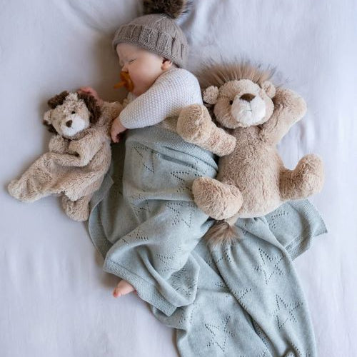 baby sleeping with lewis the lion
