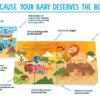 Ditty bird book safari animals key notes