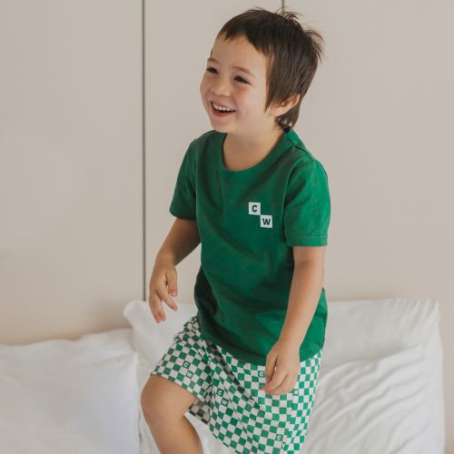Boy wearing the short sleeve sleep set sea green check
