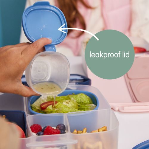 b.box snack tubs with leakproof lid
