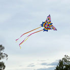 Butterfly kite flying 