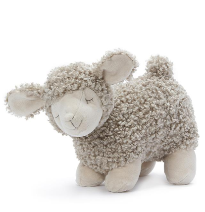 Charlotte the Sheep