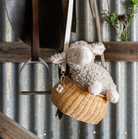 Charlottle the sheep hanging in a basket