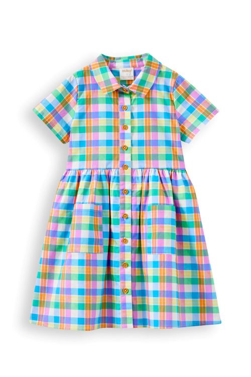 Front of the carnival check dress