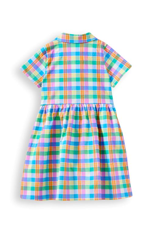 back of the carnival check dress