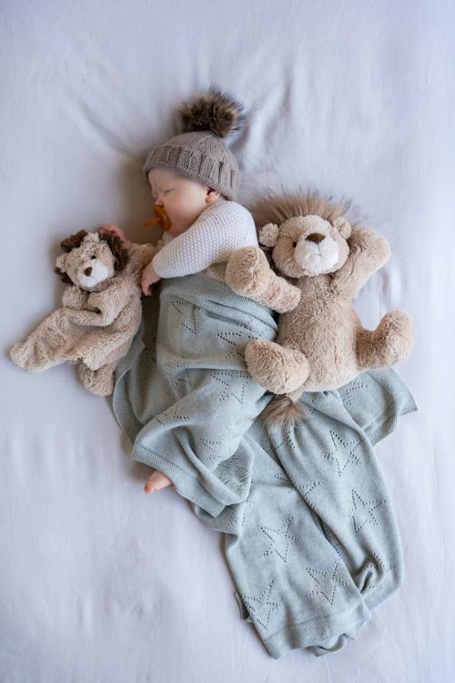 baby sleeping with lewis the lion