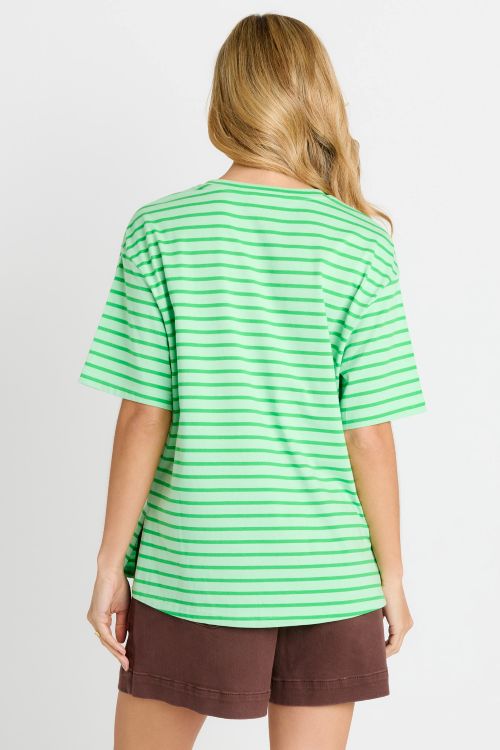 Person wearing a green striped shirt and brown shorts on a plain background