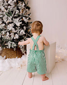 Back of the striped overalls in green